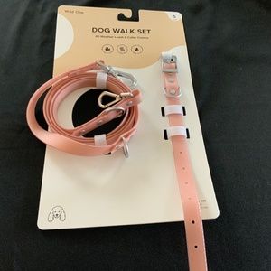 Wild One Dog Collar with Matching Leash